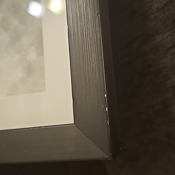 🖤Oliver Gal Black and White German Shepherd Art - Beautiful 🥰 - Picture 4 of 4